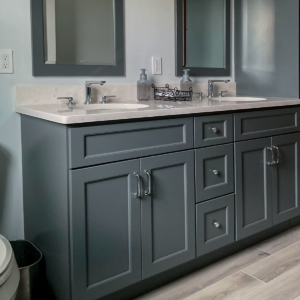 Tania Creative Touch- Hall Bathroom Renovation-2